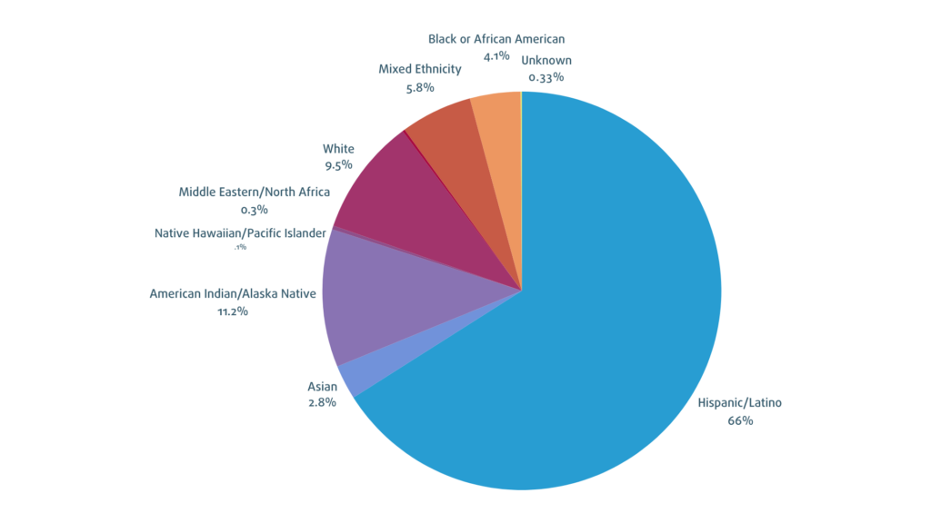 a pie chart shows the percentage of people of different races