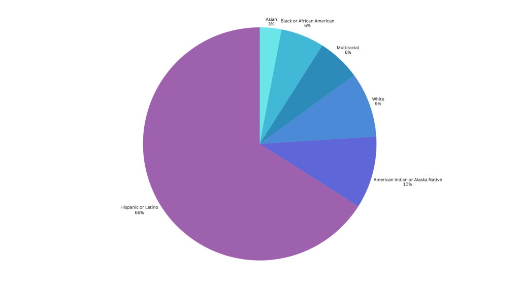 Award recipient demographics